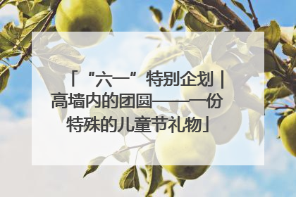 “六一”特别企划｜高墙内的团圆——一份特殊的儿童节礼物